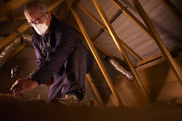 Best Eco-Friendly Insulation in South Yarmouth, MA